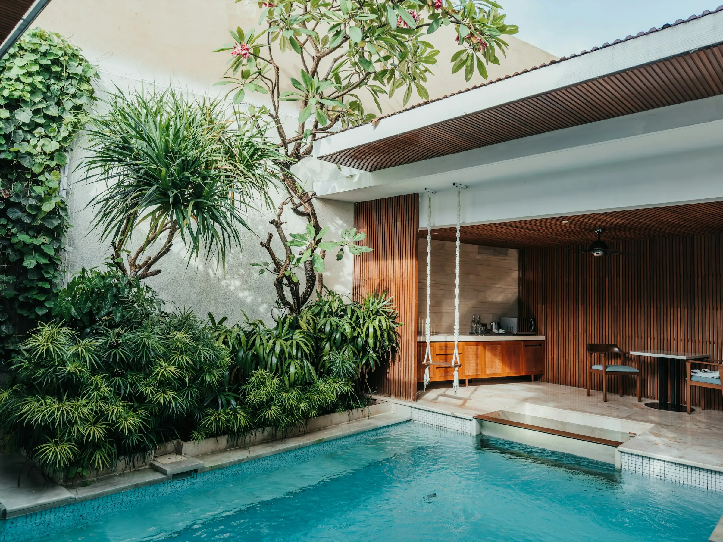 Pool under a frangipani tree beside an open timber-lined living room